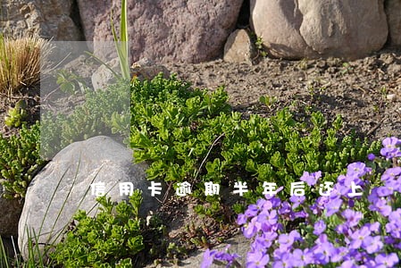 信用卡逾期半年后还上 信用卡逾期半年后还上