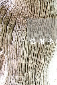 信用卡逾期半年后还会怎么样 信用卡逾期半年后还会怎么样