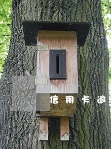 信用卡逾期半年后还完了 信用卡逾期半年后还完了