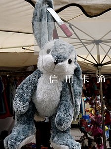 信用卡逾期半年后还清能解封吗 信用卡逾期半年后还清能解封吗