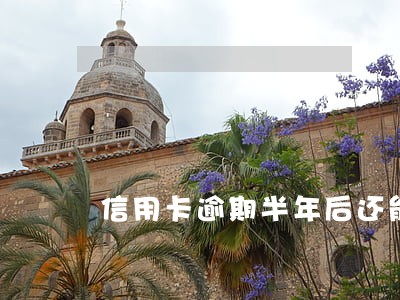 信用卡逾期半年后还能恢复正常吗 信用卡逾期半年后还能恢复正常吗
