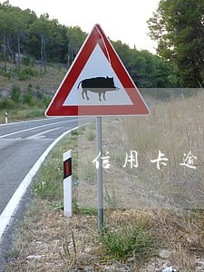 信用卡逾期半年坐牢吗