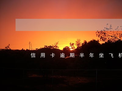 信用卡逾期半年坐飞机 信用卡逾期半年坐飞机
