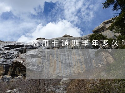 信用卡逾期半年多久可以再办