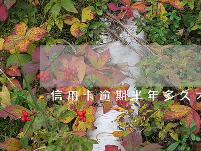 信用卡逾期半年多久才能消除 信用卡逾期半年多久才能消除