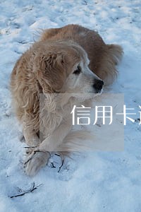 信用卡逾期半年多会上门走访么 信用卡逾期半年多会上门走访么