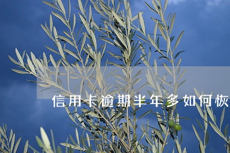 信用卡逾期半年多如何恢复使用 信用卡逾期半年多如何恢复使用