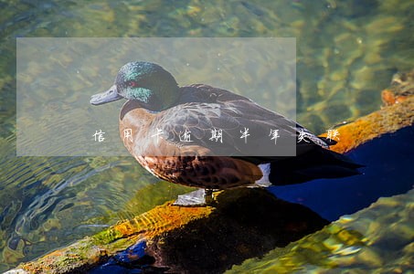 信用卡逾期半年失联