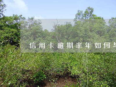 信用卡逾期半年如何与银行协商 信用卡逾期半年如何与银行协商