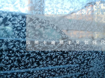 信用卡逾期半年如何只还本金 信用卡逾期半年如何只还本金