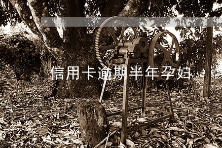 信用卡逾期半年孕妇