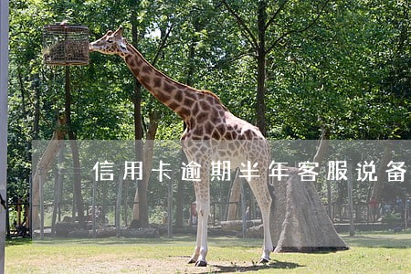 信用卡逾期半年客服说备案 信用卡逾期半年客服说备案