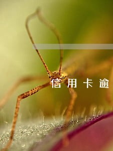 信用卡逾期半年废了 信用卡逾期半年废了