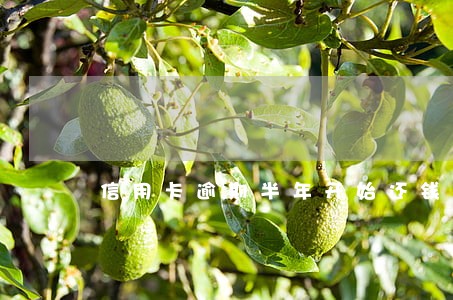 信用卡逾期半年开始还钱