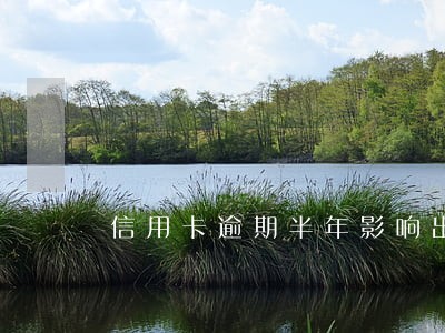 信用卡逾期半年影响出国劳务 信用卡逾期半年影响出国劳务