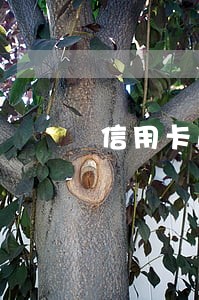 信用卡逾期半年影响娃吗 信用卡逾期半年影响娃吗