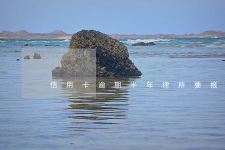信用卡逾期半年律所要报案
