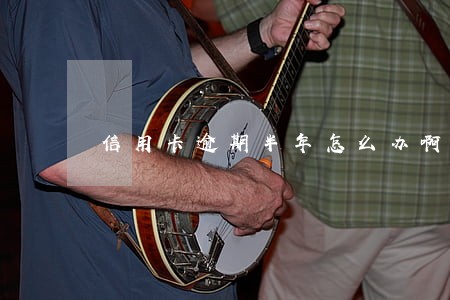 信用卡逾期半年怎么办啊 信用卡逾期半年怎么办啊