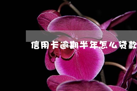信用卡逾期半年怎么贷款吗 信用卡逾期半年怎么贷款吗