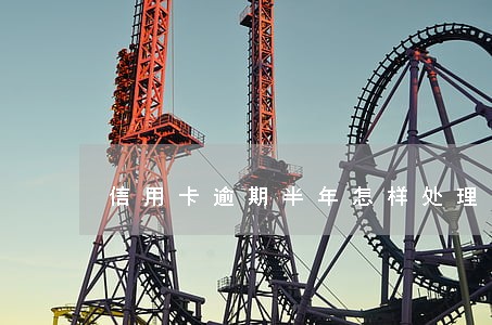 信用卡逾期半年怎样处理 信用卡逾期半年怎样处理