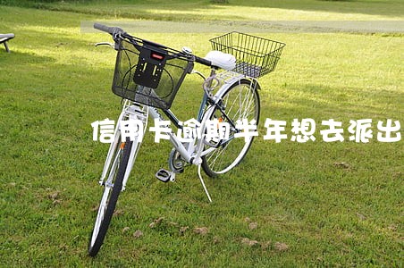 信用卡逾期半年想去派出所自首 信用卡逾期半年想去派出所自首