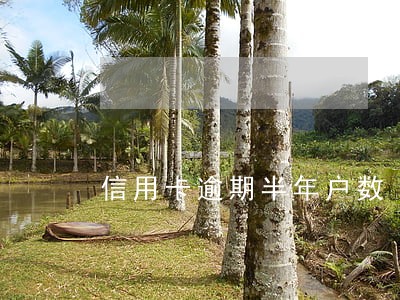 信用卡逾期半年户数 信用卡逾期半年户数