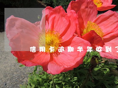 信用卡逾期半年收到了传票