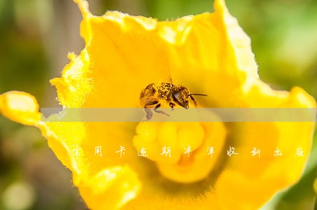 信用卡逾期半年收到出庭通知 信用卡逾期半年收到出庭通知