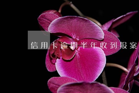 信用卡逾期半年收到报案通知 信用卡逾期半年收到报案通知
