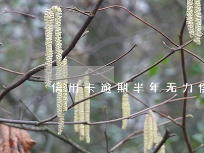 信用卡逾期半年无力偿还最佳解决