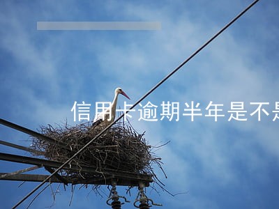 信用卡逾期半年是不是黑户了 信用卡逾期半年是不是黑户了