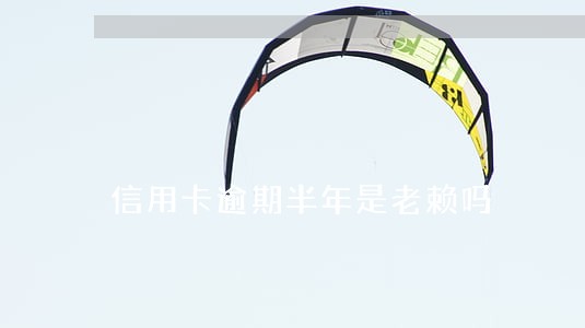信用卡逾期半年是老赖吗