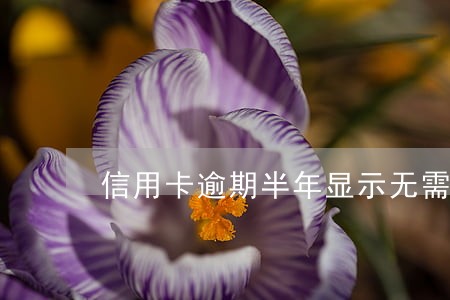 信用卡逾期半年显示无需还款