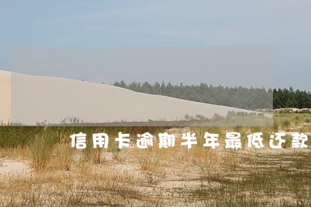 信用卡逾期半年最低还款 信用卡逾期半年最低还款