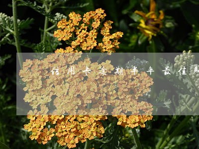 信用卡逾期半年最佳解决办法 信用卡逾期半年最佳解决办法