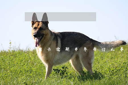 信用卡逾期半年有什么事情