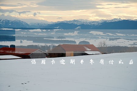 信用卡逾期半年有什么后果 信用卡逾期半年有什么后果
