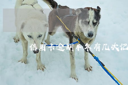 信用卡逾期半年有几次记录 信用卡逾期半年有几次记录