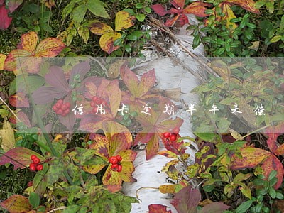 信用卡逾期半年未偿 信用卡逾期半年未偿