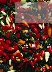 信用卡逾期半年未偿还 信用卡逾期半年未偿还