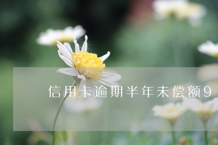 信用卡逾期半年未偿额906 信用卡逾期半年未偿额906