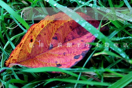 信用卡逾期半年未接电话 信用卡逾期半年未接电话