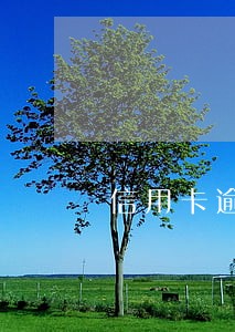 信用卡逾期半年未还可以出国吗 信用卡逾期半年未还可以出国吗