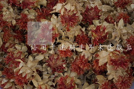 信用卡逾期半年未还款后果 信用卡逾期半年未还款后果