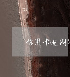 信用卡逾期半年欠款13000