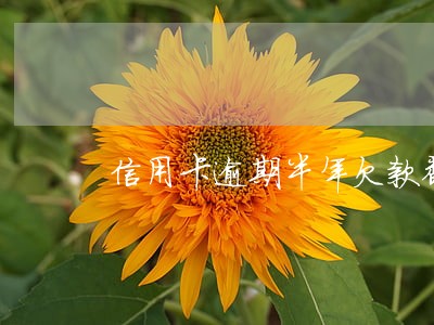信用卡逾期半年欠款翻倍 信用卡逾期半年欠款翻倍