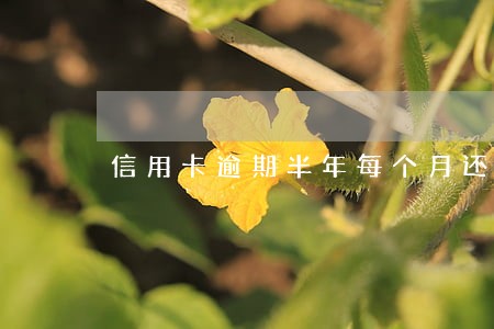 信用卡逾期半年每个月还 信用卡逾期半年每个月还