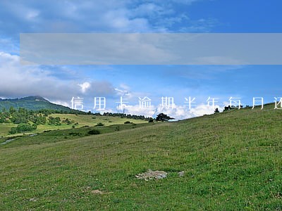 信用卡逾期半年每月还一点