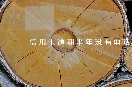 信用卡逾期半年没有电话催款了 信用卡逾期半年没有电话催款了