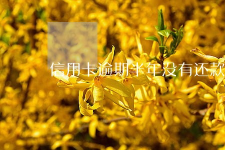 信用卡逾期半年没有还款会怎样 信用卡逾期半年没有还款会怎样